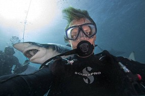 Фотограф осмелился сделать сэлфи с акулами