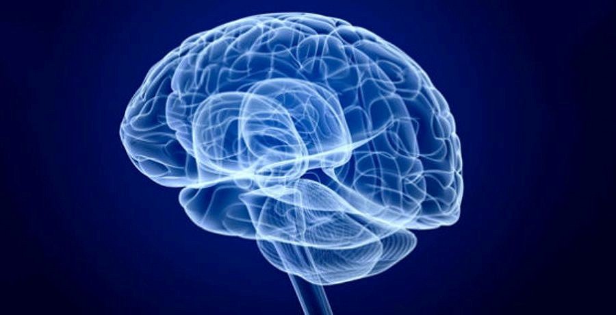Ученые нашли способ «читать мысли» людей